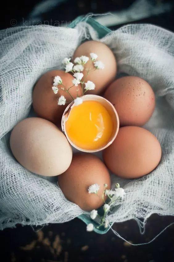 白皮鸡蛋和红皮鸡蛋到底有什么区别？终于明白了！